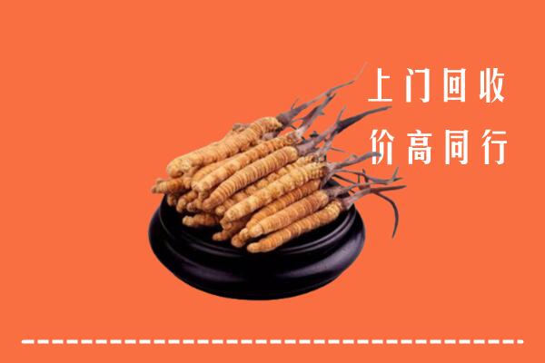 高价求购：莞城街回收散虫草