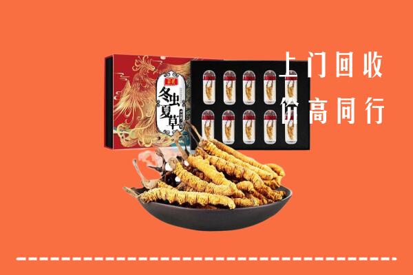 莞城街高价回收虫草